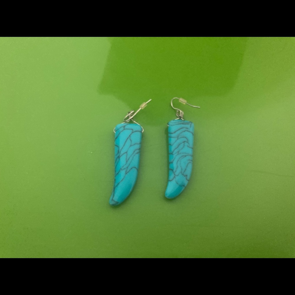Women’s blue earrings
